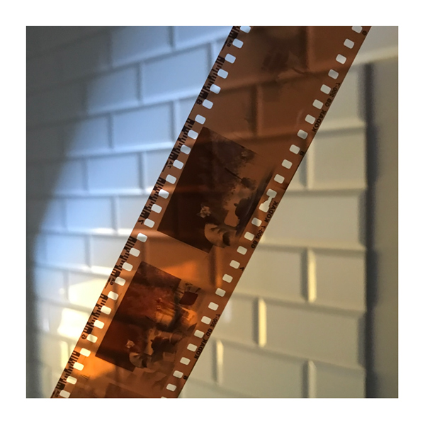 479 :: Drying my first film